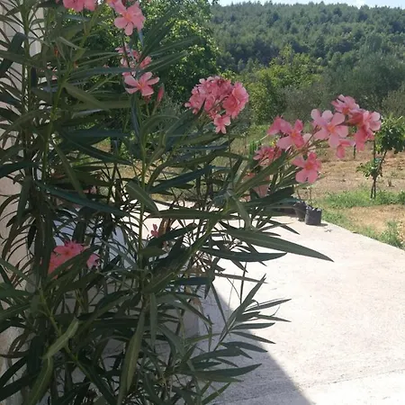 Banin Guest house Skradin