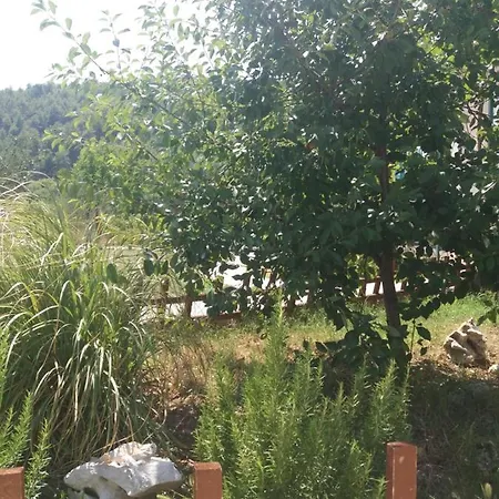 Banin Guest house Skradin