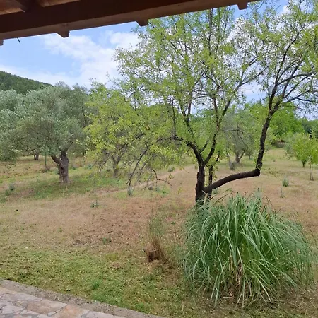 Guest house Banin