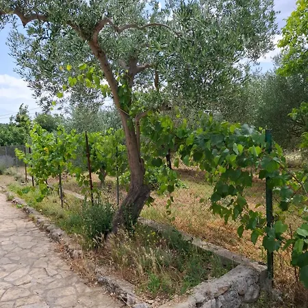 Banin Guest house 3*