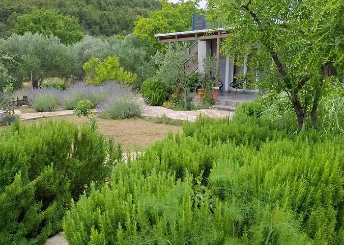 Banin סקארדין