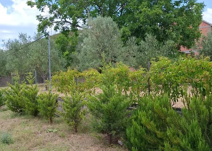 Banin 3* סקארדין